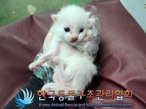 종료(자연사) 한국…